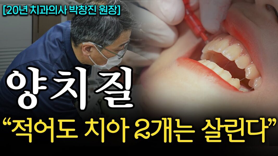 평생 치과비 싹 아끼는 최고의 기적, 올바른 양치질 방법의 비밀